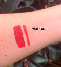 Load image into Gallery viewer, Matte Liquid Lipstick and Lipliner Duo Set