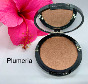 Powdered Shimmer Highlighter